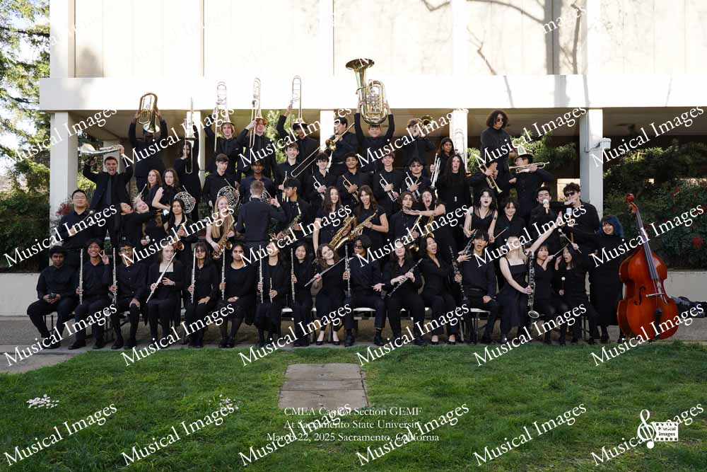 Musical Images